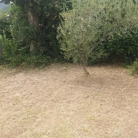 Jolie 6 Pers Avec Jardin *
