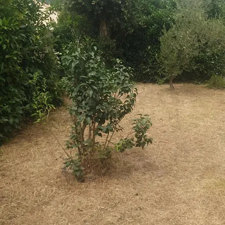 Jolie 6 Pers Avec Jardin Tatil Evi Prunelli-di-Fiumorbo