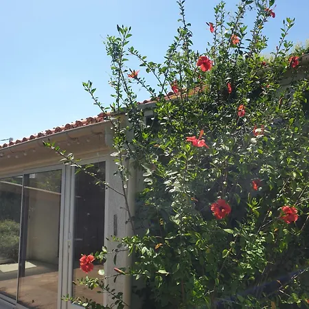 Jolie 6 Pers Avec Jardin Tatil Evi Prunelli-di-Fiumorbo